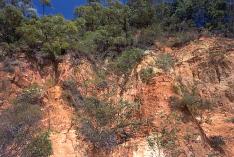 Coloured Sands FNQLD 15.09.1994